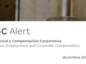 GC ALERT | Nuevos salarios mínimos en México vigentes a partir del 2024: Incremento del 20%